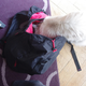 Image for article titled Super Light Packing for the Broke-Ass Traveler